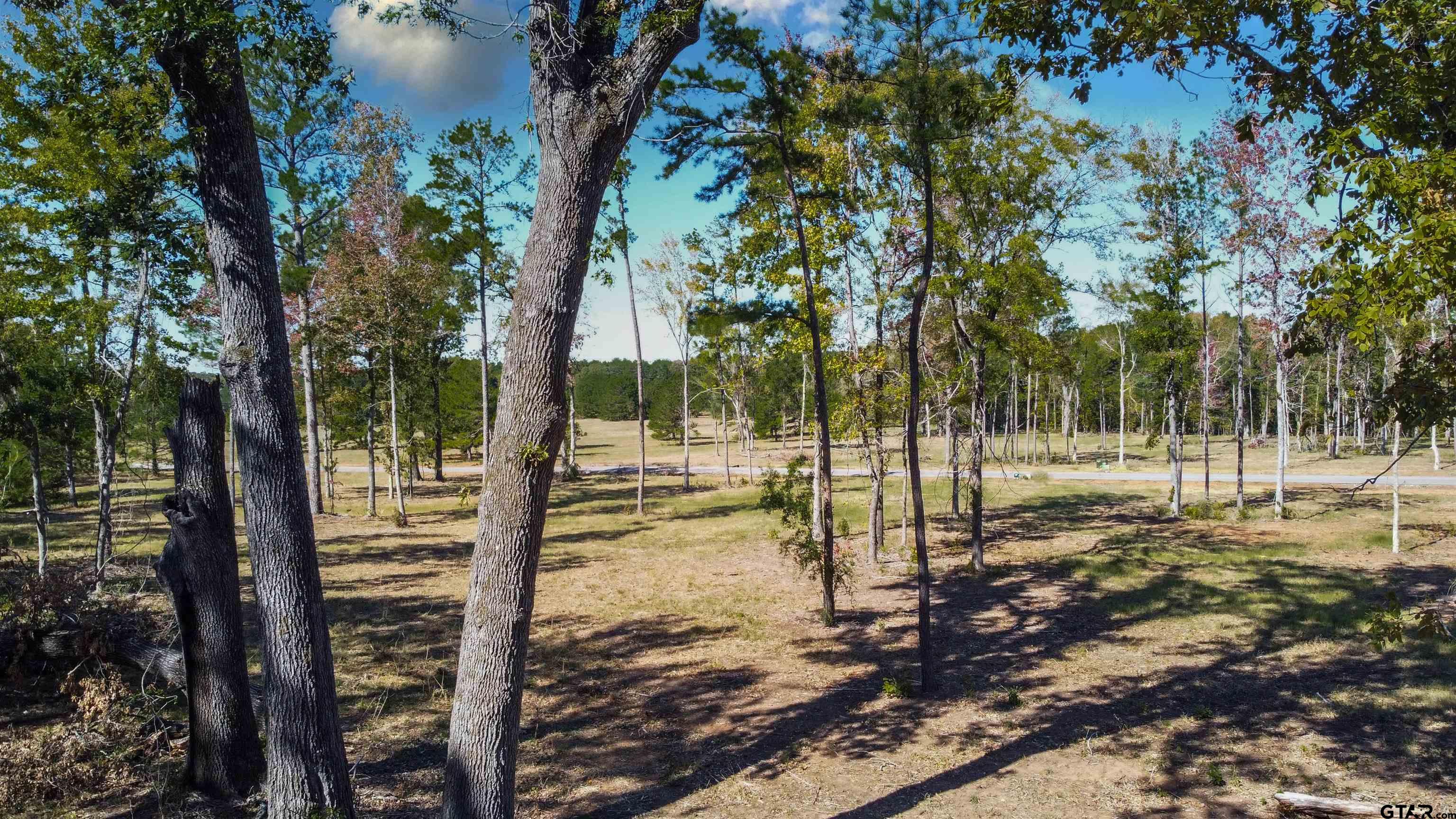 15538 Aniston Ln - (LOT 27)