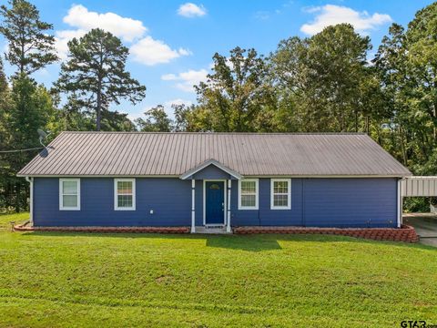 509 County Road 1309 Pittsburg TX 75686