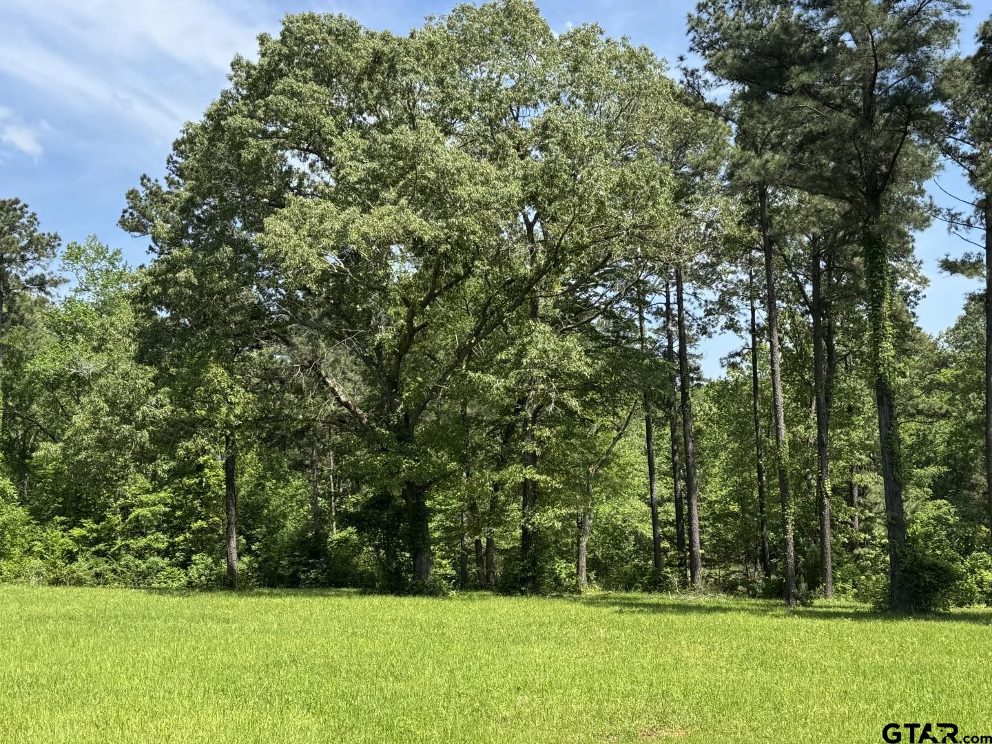 16649 County Road 4252D