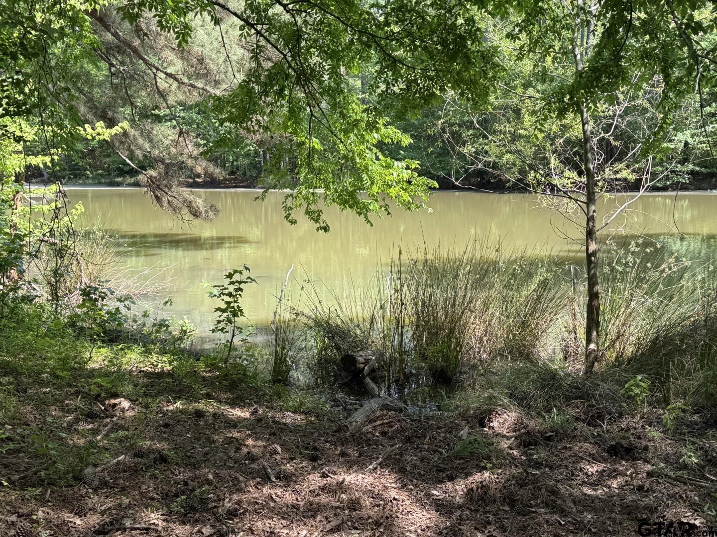 16649 County Road 4252D