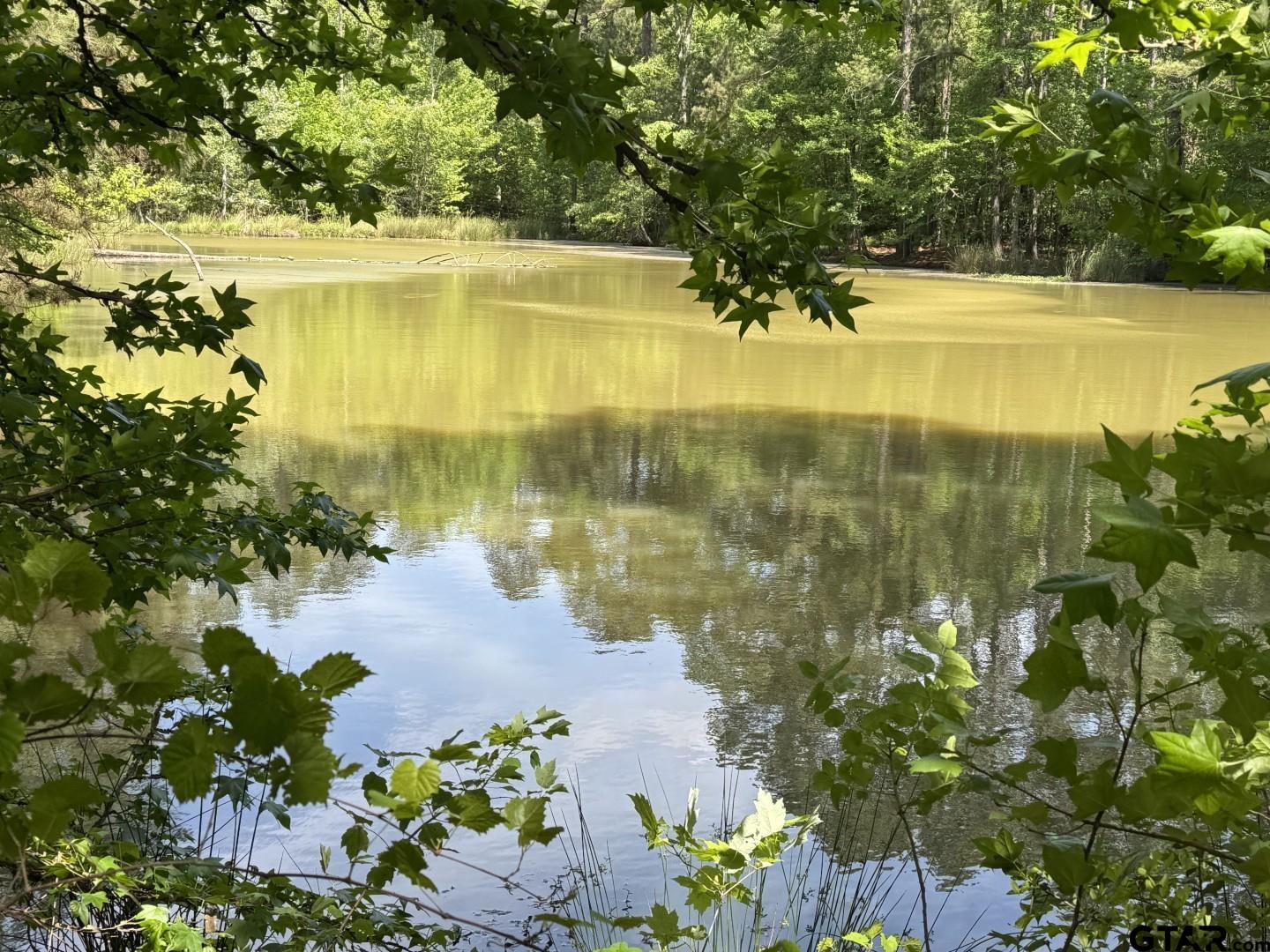 16649 County Road 4252D