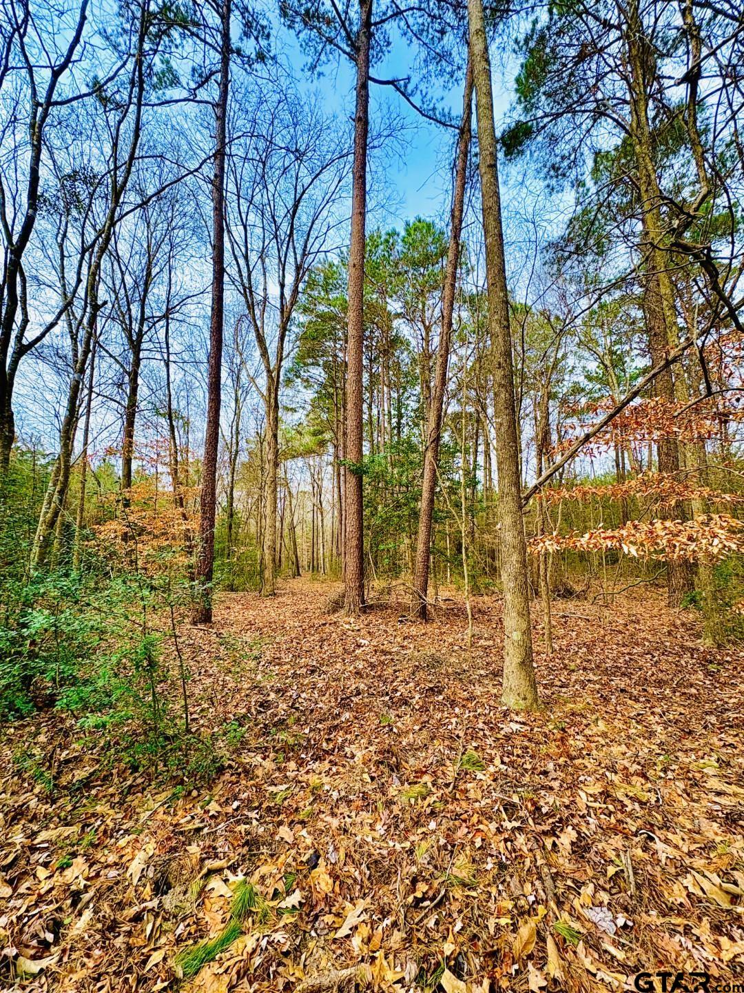 TBD (Lot 59) County Road 1060