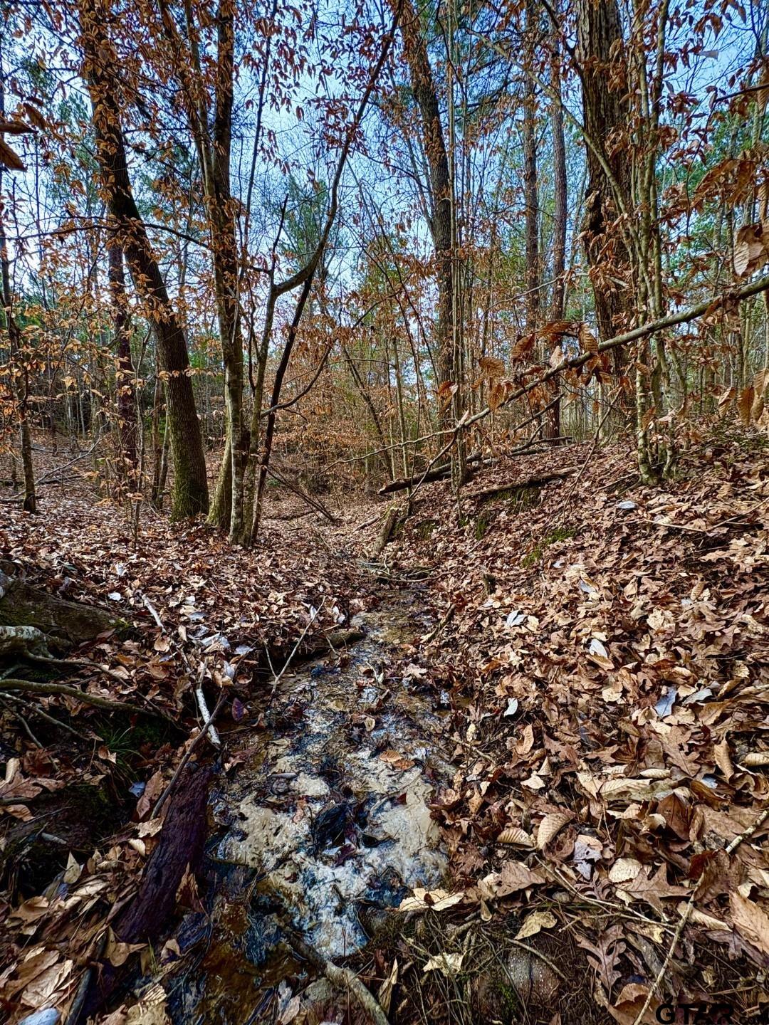 TBD (Lot 59) County Road 1060