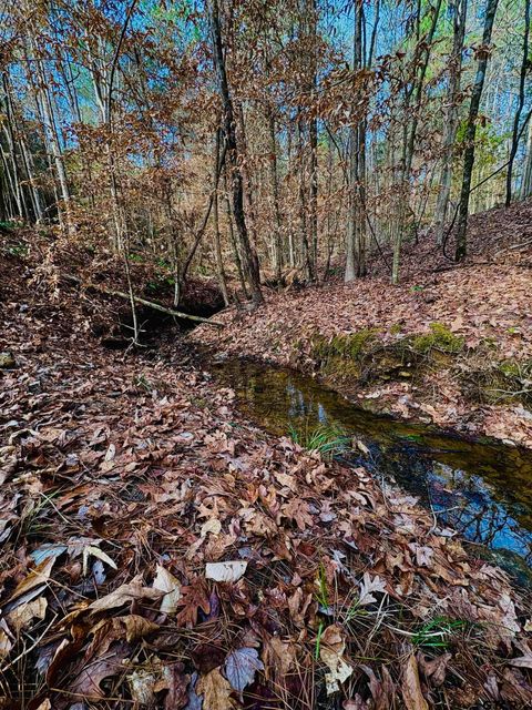 TBD (Lot 59) County Road 1060 Center TX 75935