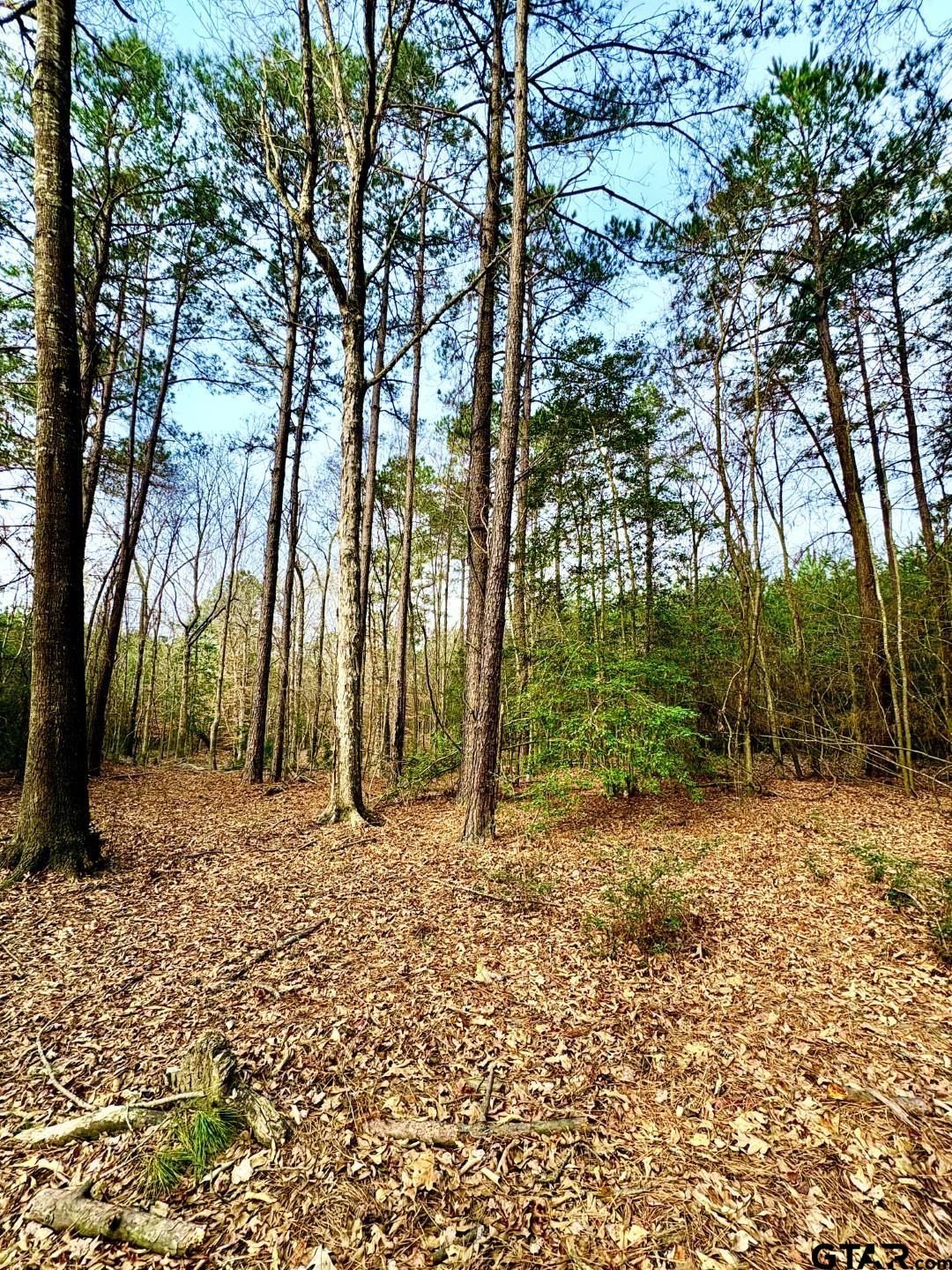 TBD (Lot 59) County Road 1060