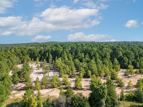 4361 US HWY 80 Hawkins TX 75765