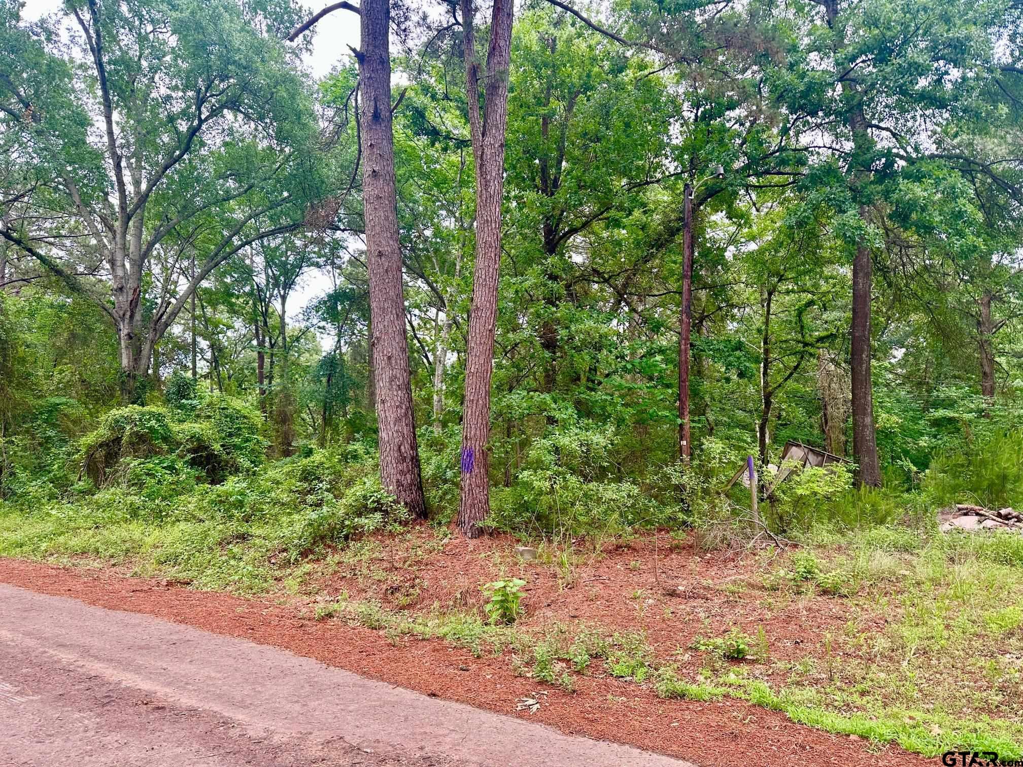 19795 Creekside Dr.