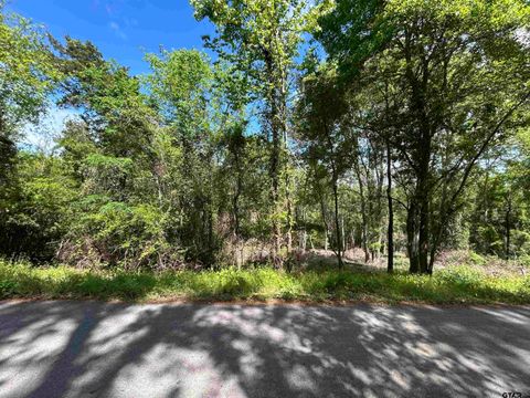 13912 County Road 1250 Tyler TX 75709