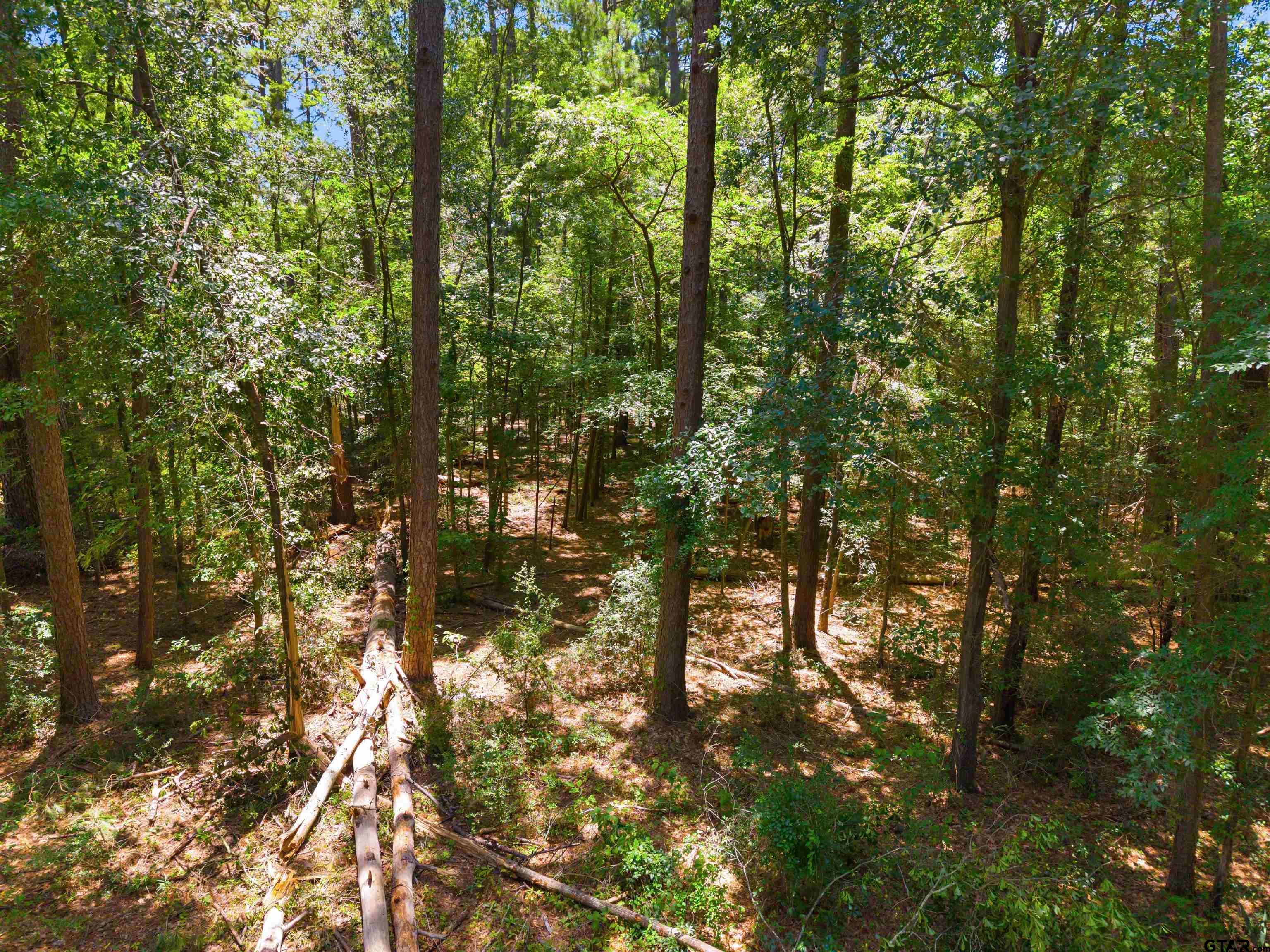 17837 Deer Trail
