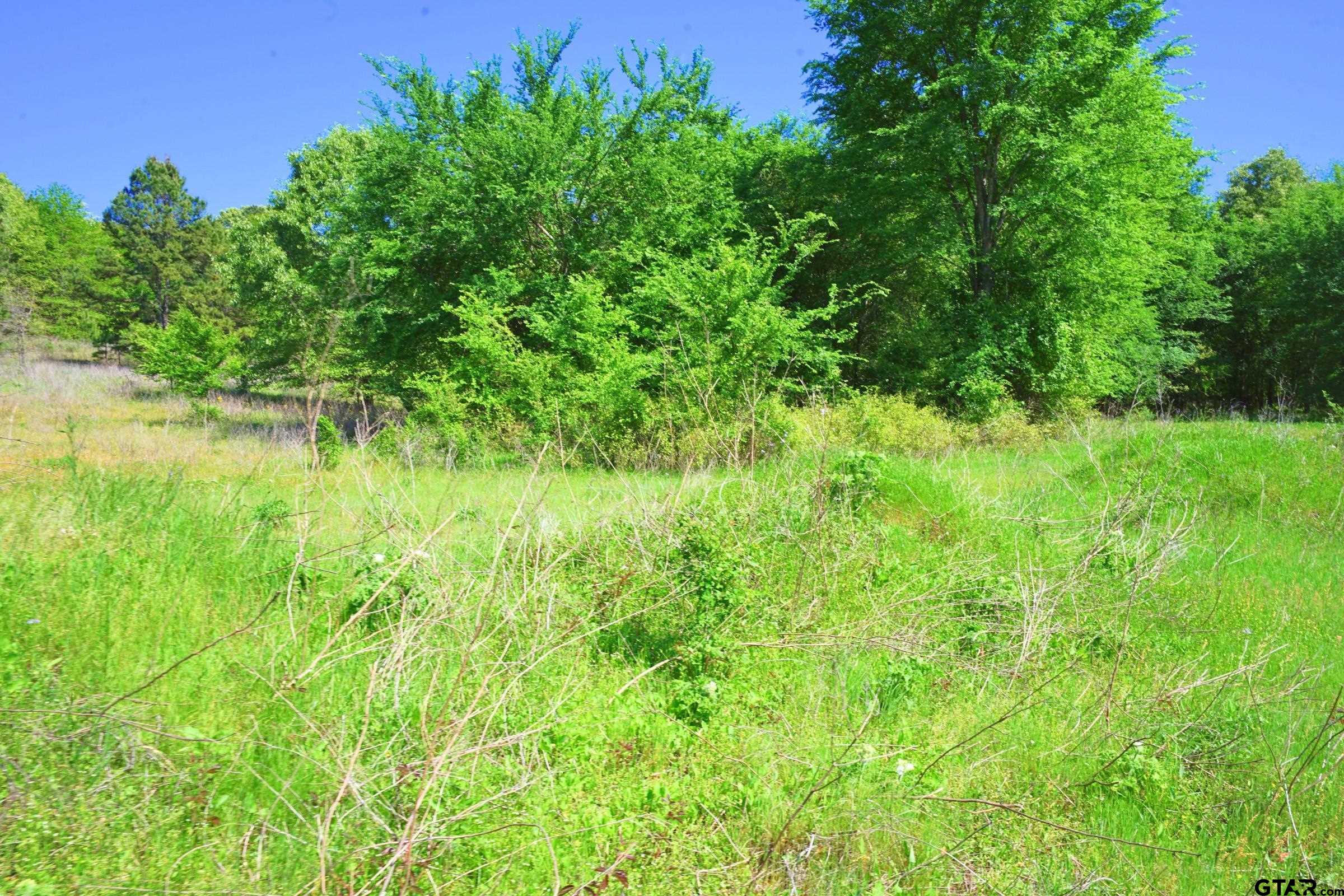 TBD Tract Fm 3079