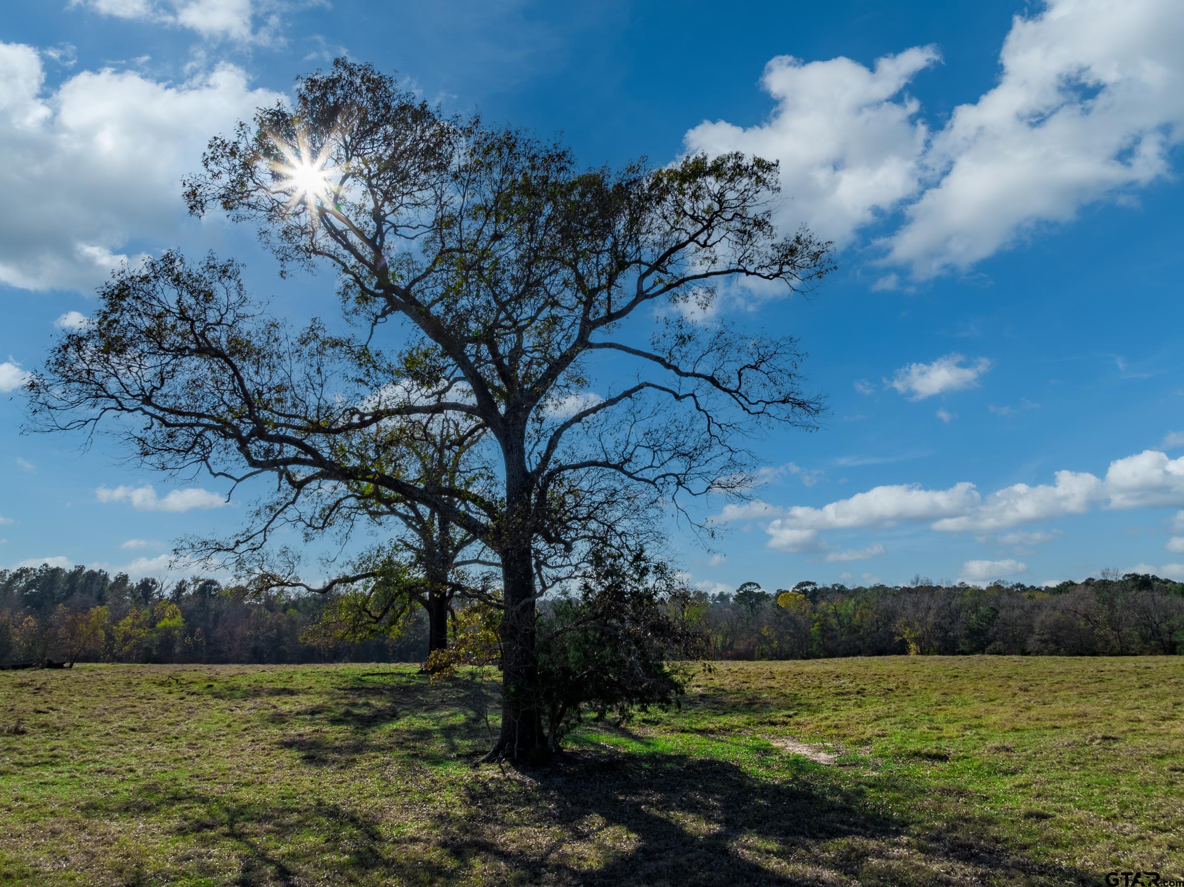 0 An County Road 153