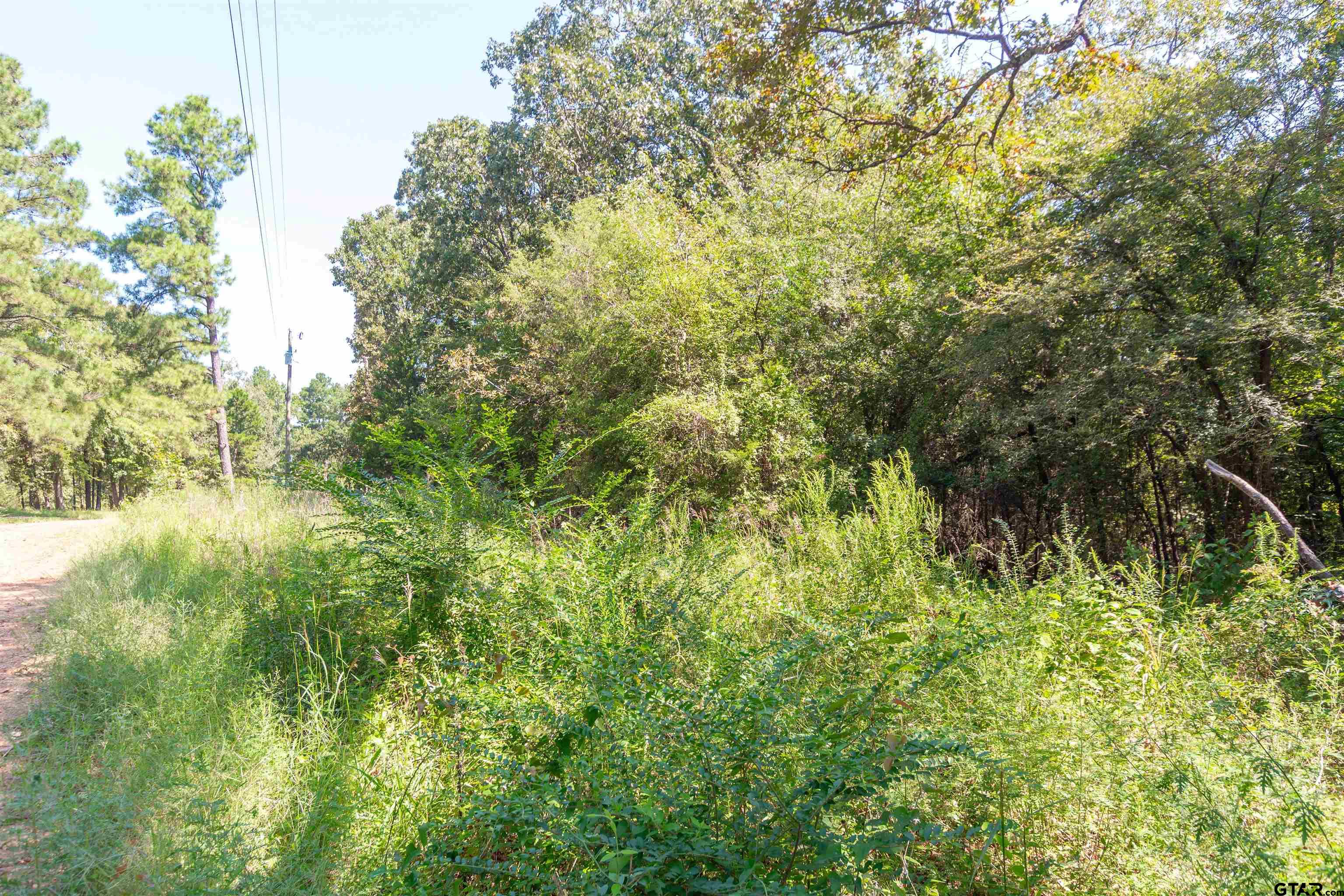 13234 Mountain View Rd S