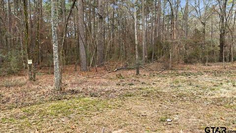 12174 S CR 3153 Mt Enterprise TX 75681