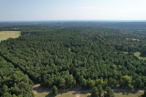 TBD ACR 1220 Grapeland TX 75844