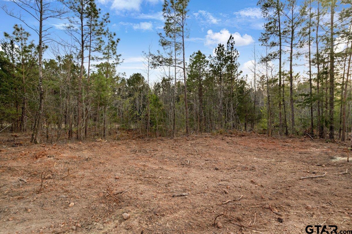 Troup, Texas 75789, United States, ,Land,Active,176873