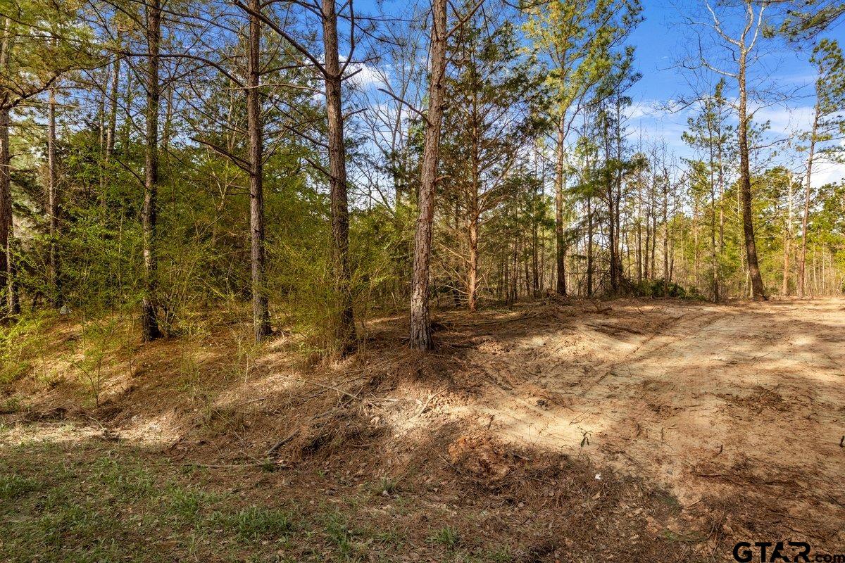 Troup, Texas 75789, United States, ,Land,Active,176873