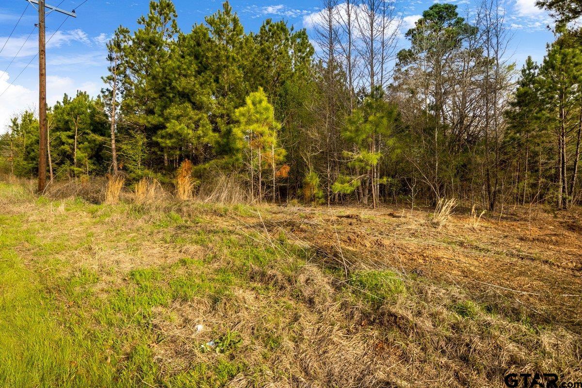 Troup, Texas 75789, United States, ,Land,Active,176873