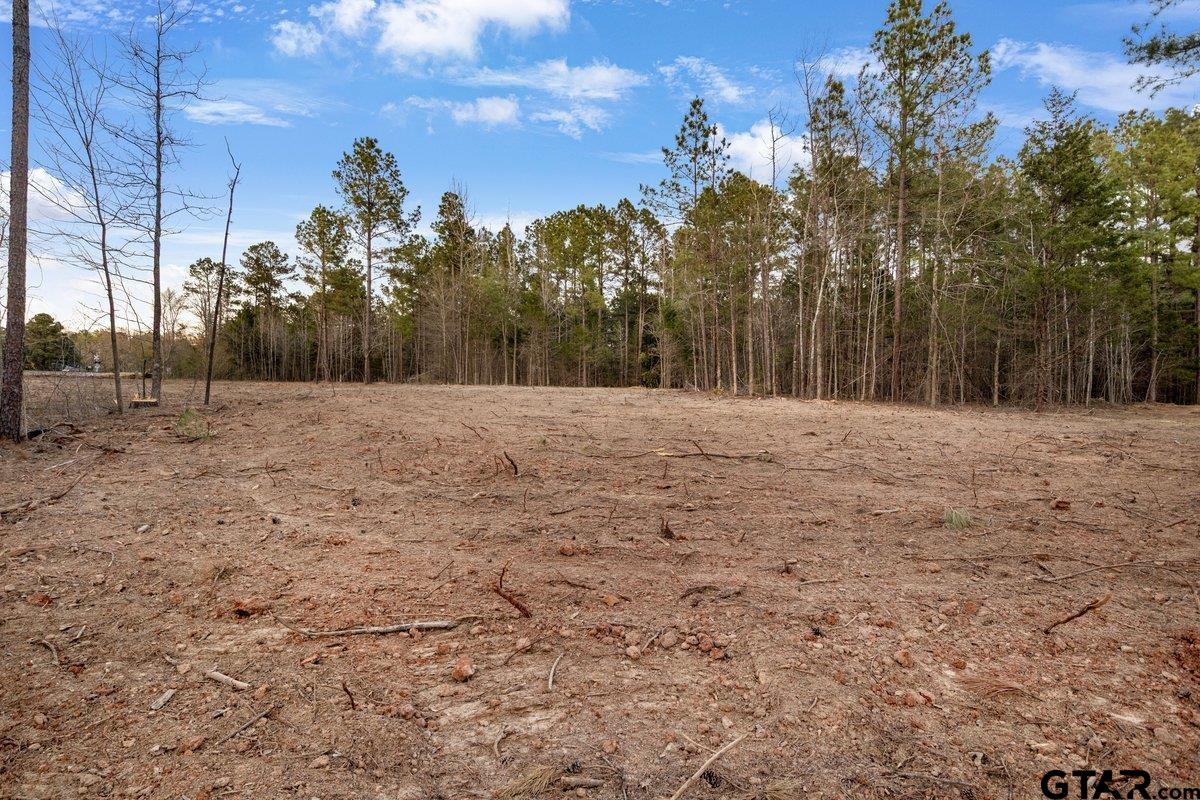 Troup, Texas 75789, United States, ,Land,Active,176873