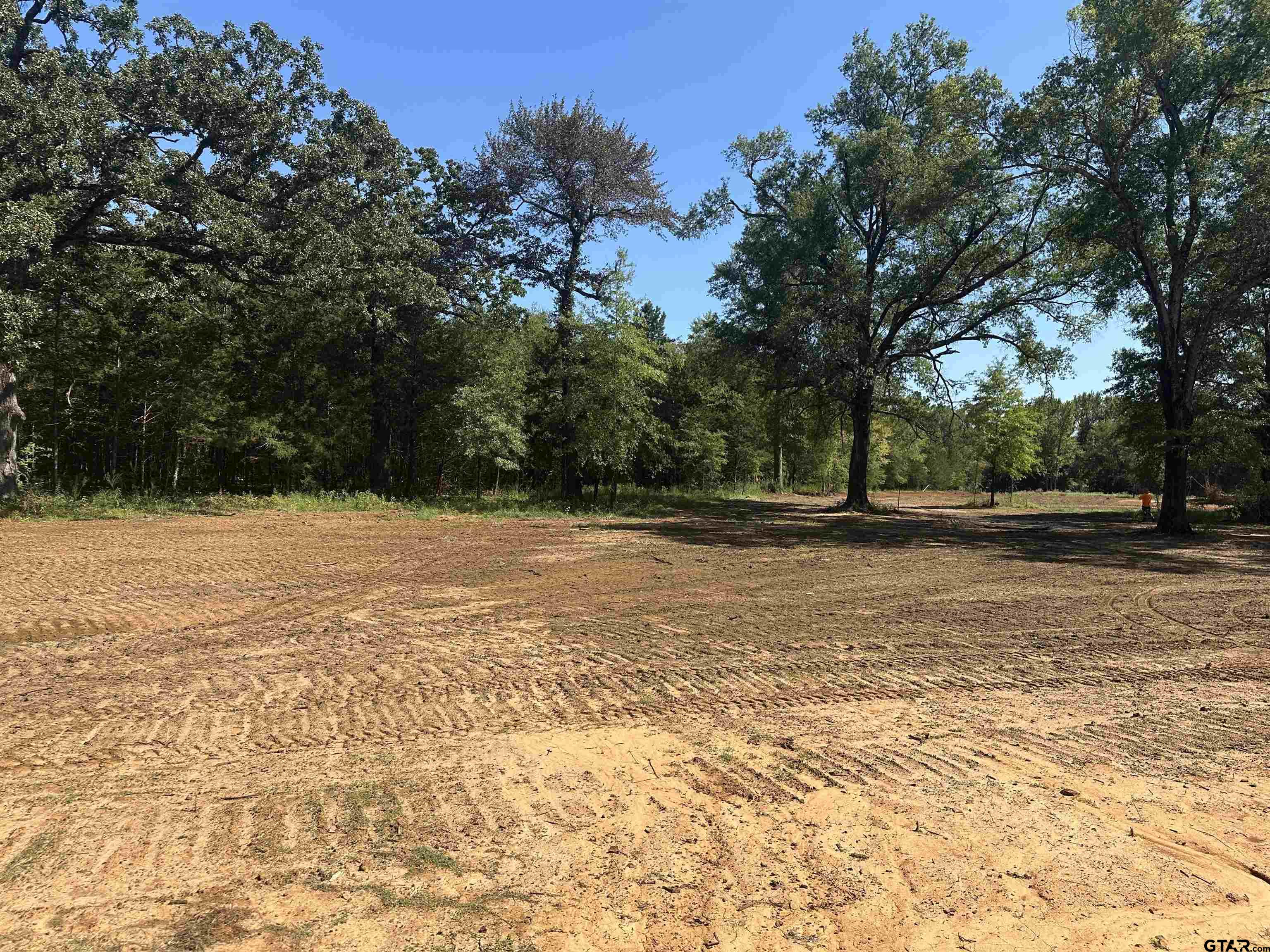17459 County Road 196