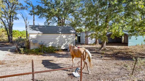 744 CR 1513 Alba TX 75410