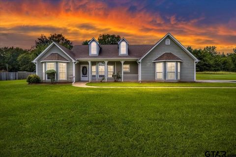 201 COUNTY ROAD 3821 Troup TX 75789