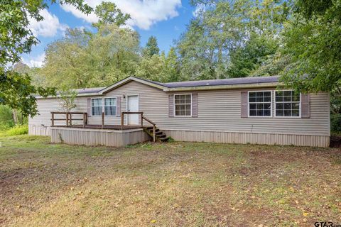 18970 CR 2323 Whitehouse TX 75791