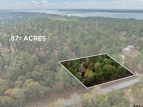 0 Pintail Flint TX 75762