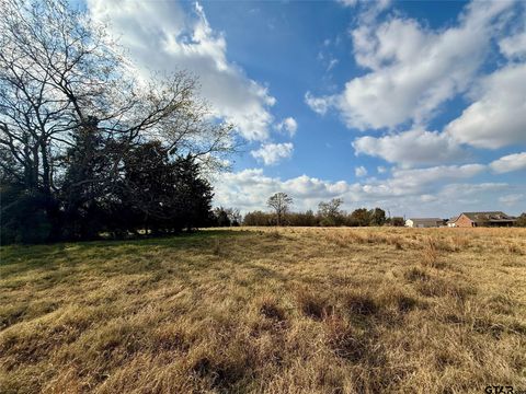 14 Acres County Road 3359 Saltillo TX 75478