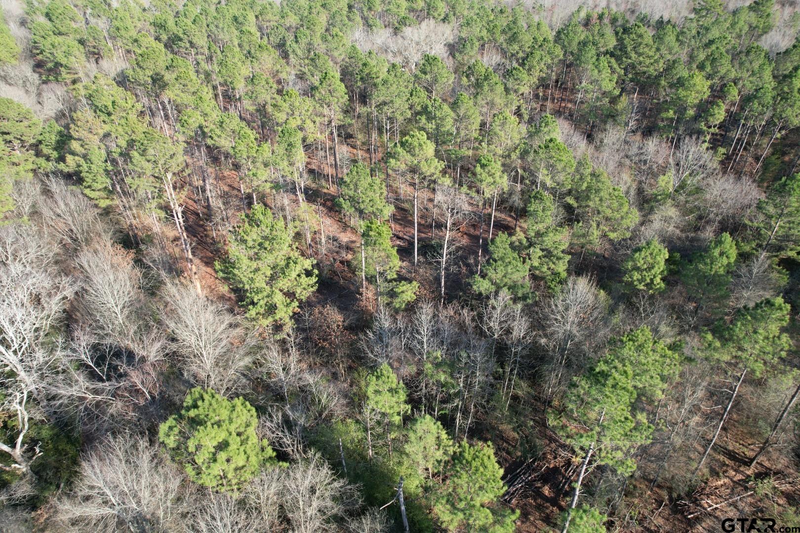 TBD-E County Road 216