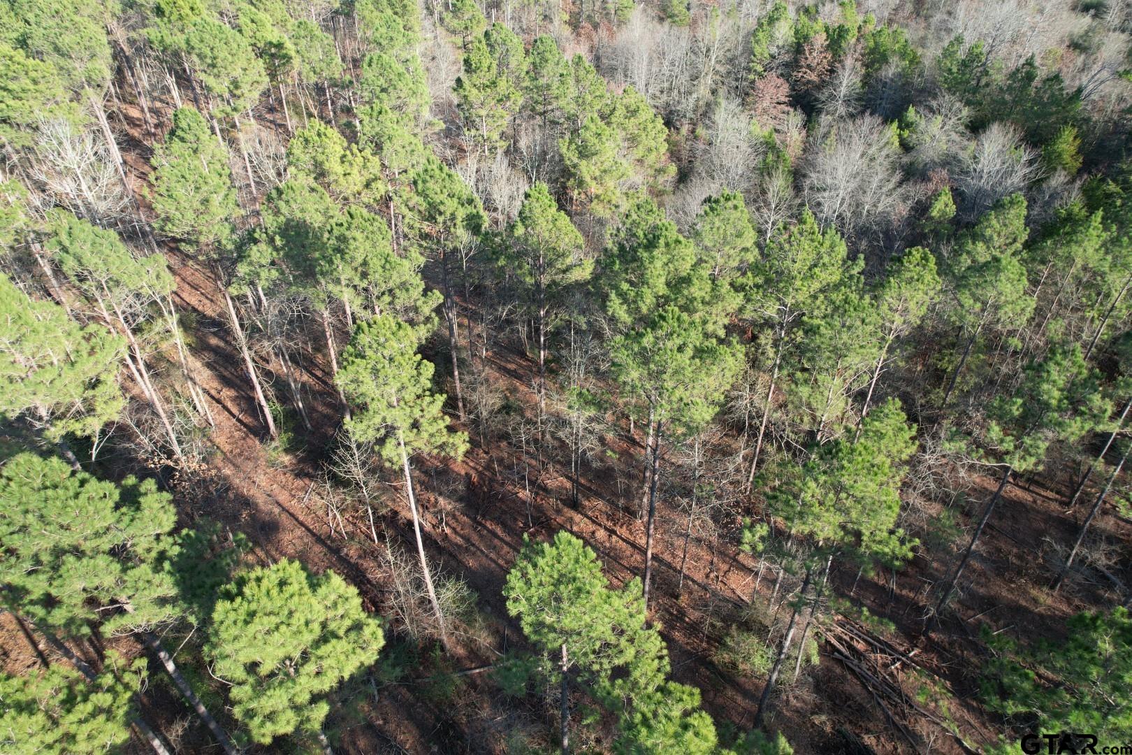 TBD-E County Road 216