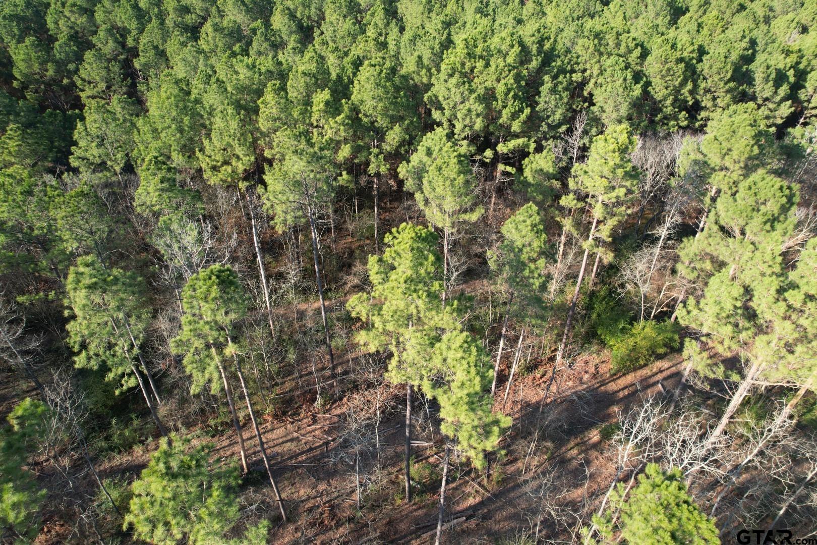 TBD-E County Road 216