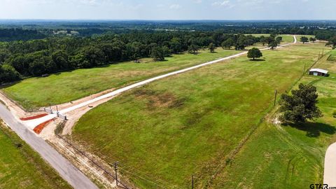 Lot 4 Windy Lane Drive Bullard TX 75757