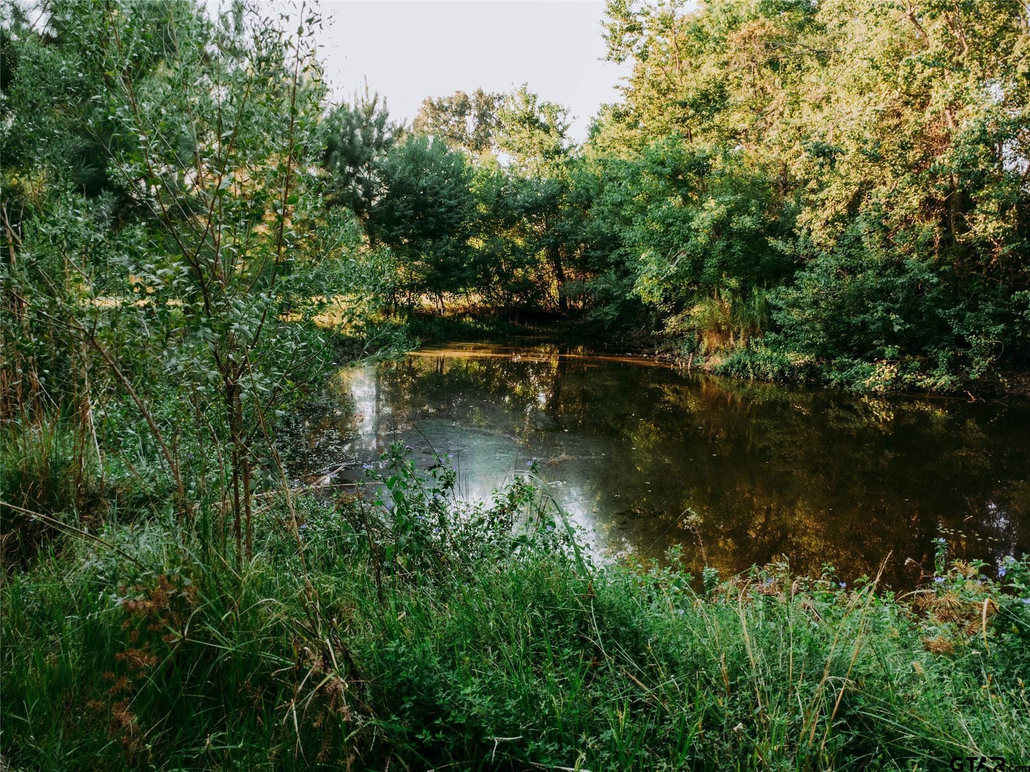 1609 County Road 2626