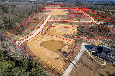 11014 Back Forty Whitehouse TX 75791