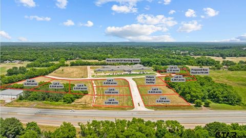 0 Bluebonnet/Heritage Springs Drive Bullard TX 75757