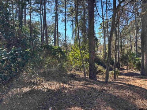 lot 17 Greenwood Trl Bullard TX 75757