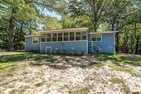 313 Private Road 8693 Winnsboro TX 75494