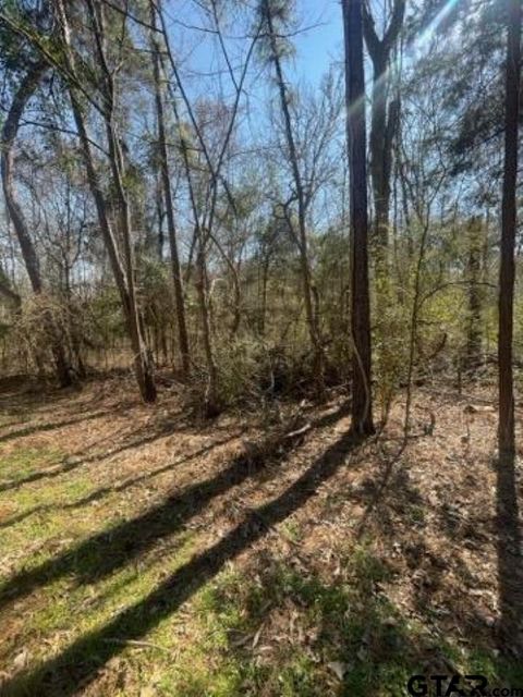 214 Forest Bullard TX 75757