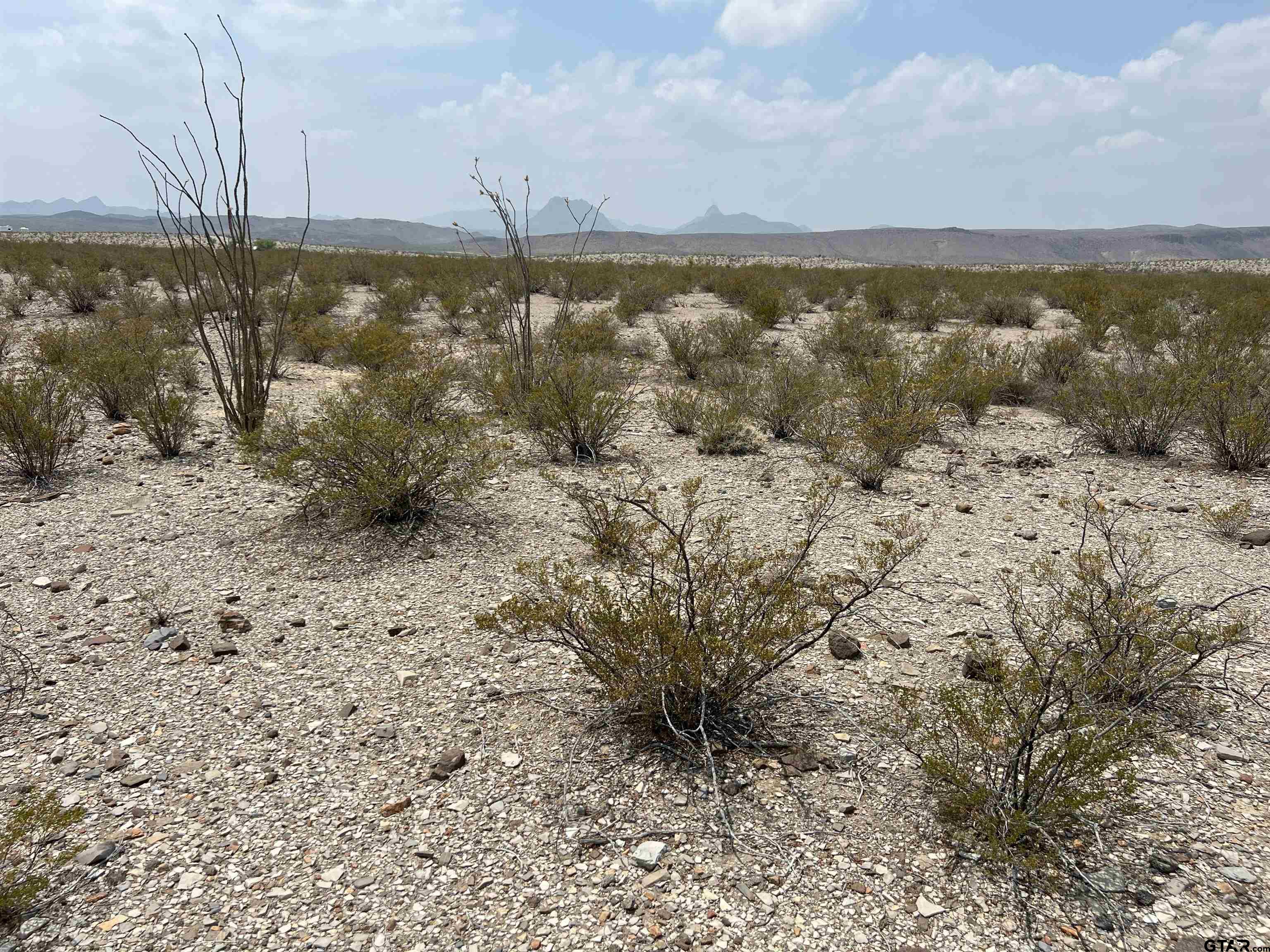 20865 & 66 Ivy PID 20865 & 66