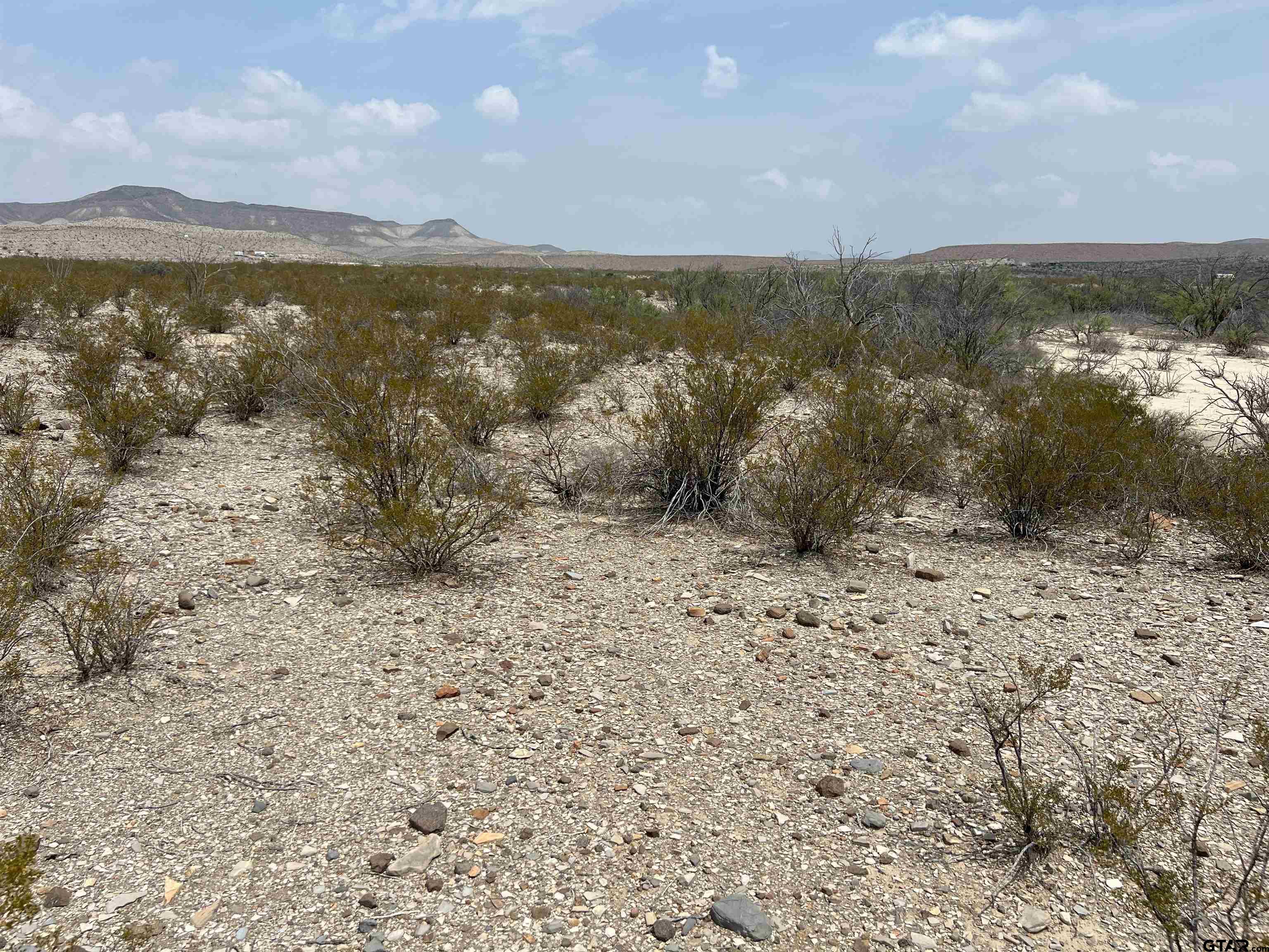 20865 & 66 Ivy PID 20865 & 66