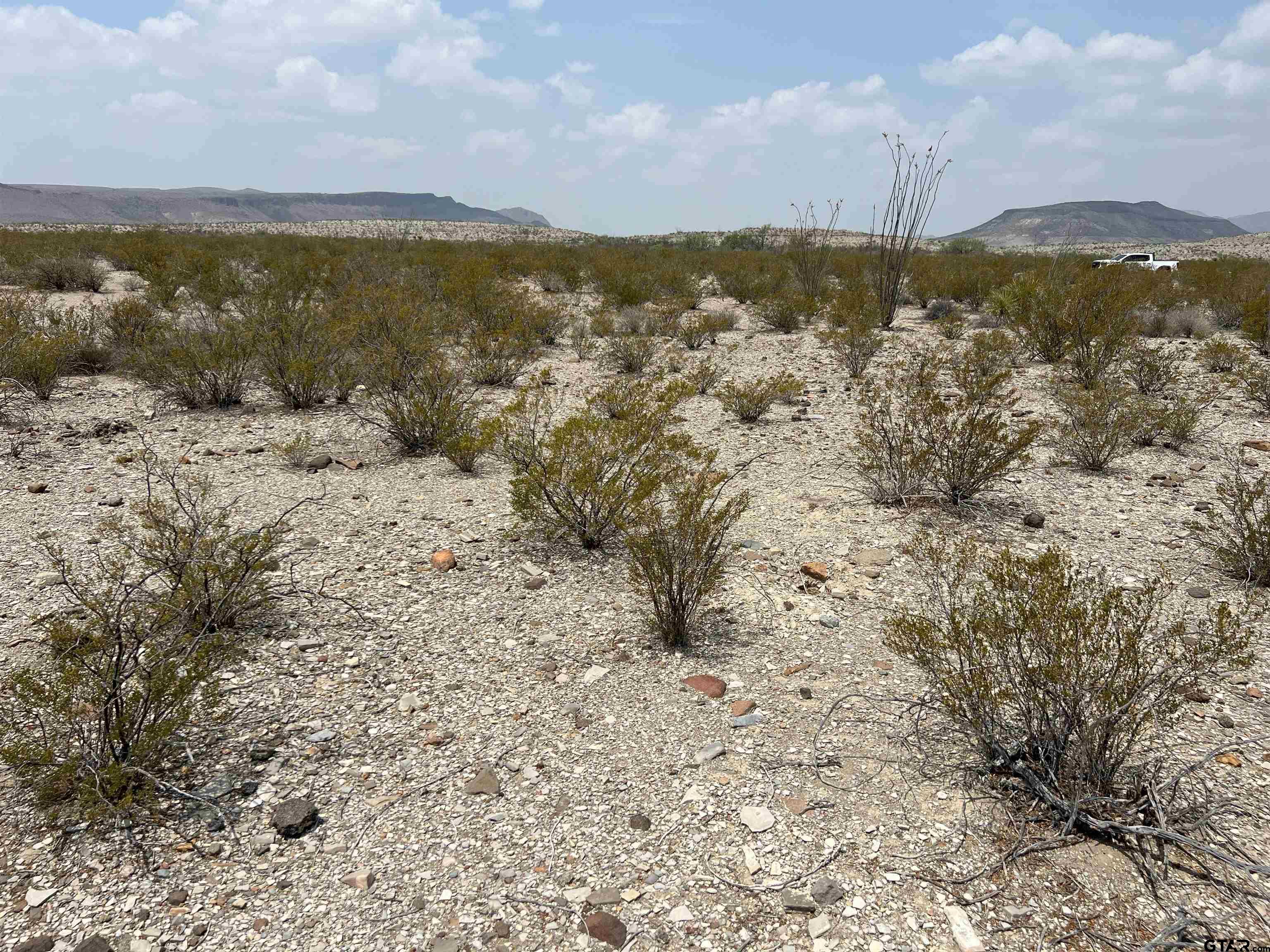 20865 & 66 Ivy PID 20865 & 66