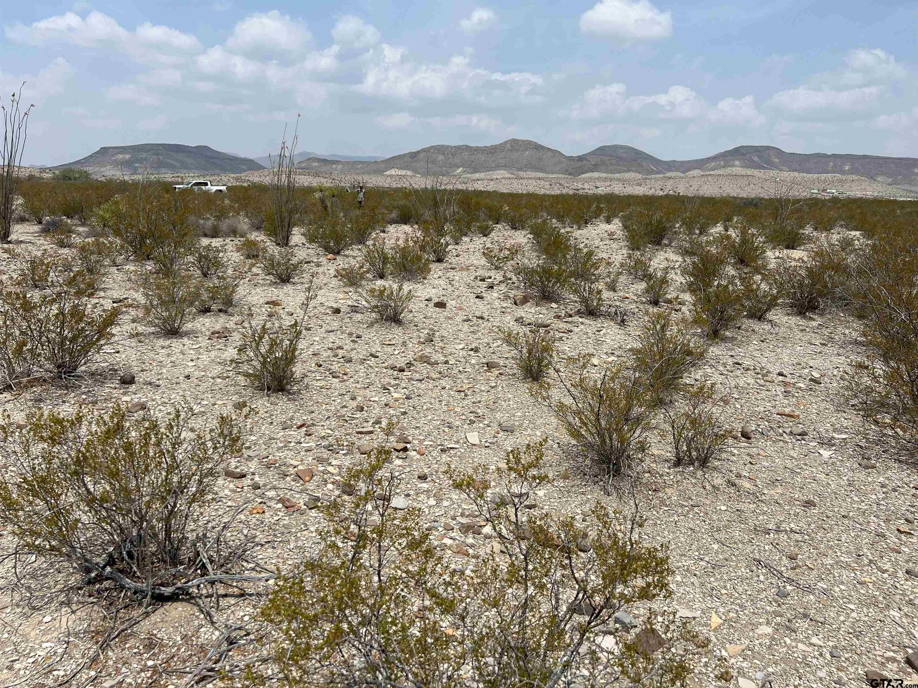 20865 & 66 Ivy PID 20865 & 66