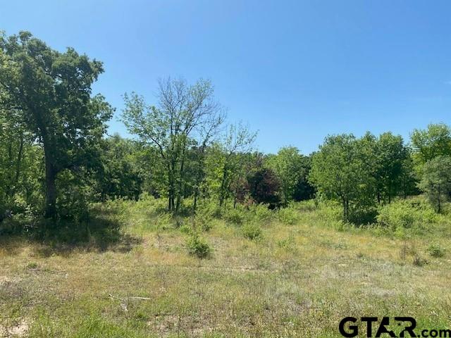 Lots 4-7 Whispering Oaks Drive