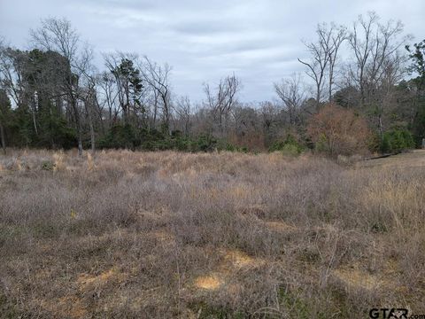 3515 Chapel View Tyler TX 75707