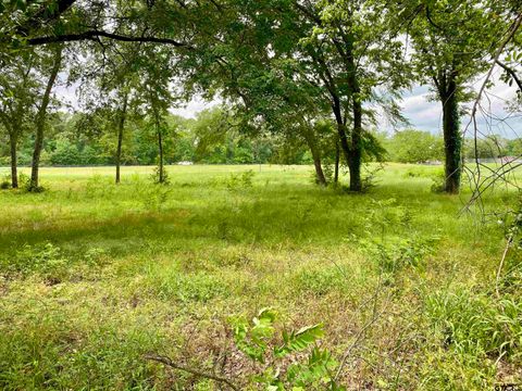 Lot 3 Browning Street Brownsboro TX 75756