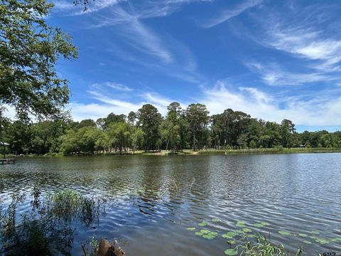 LOT TR 5B STEVENSON RD Frankston TX 75763