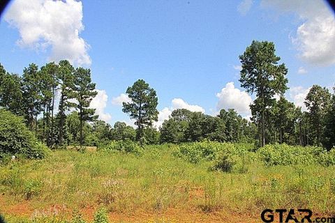 920 Stone Chimney Rd. (Lot 19 CR 3608) Bullard TX 75757