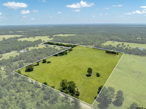 592 ACR 379 Palestine TX 75801