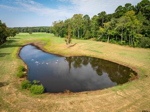 1323 AN County Road 153 Palestine TX 75801