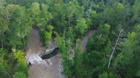 1324 CR 4710 Kennard TX 75847